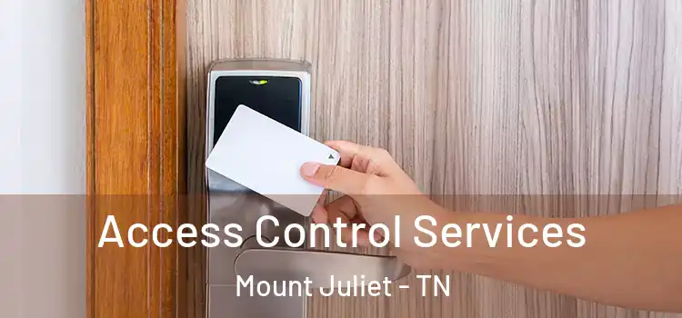 Access Control Services Mount Juliet - TN