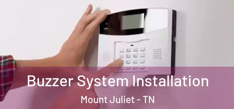 Buzzer System Installation Mount Juliet - TN