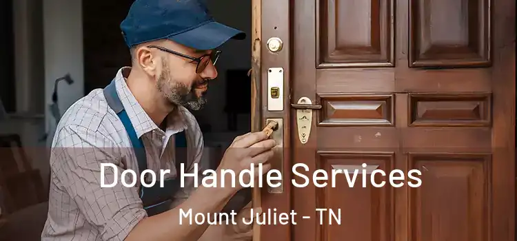 Door Handle Services Mount Juliet - TN
