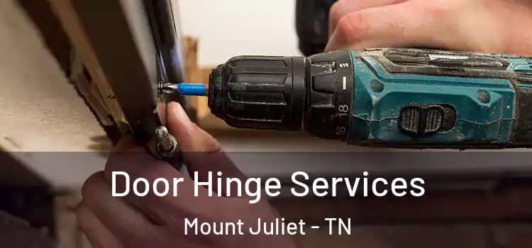 Door Hinge Services Mount Juliet - TN