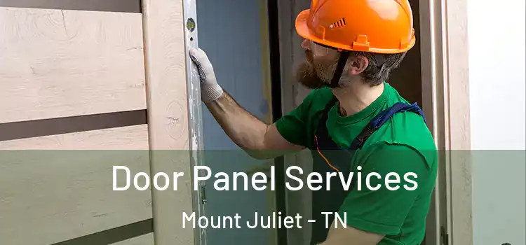 Door Panel Services Mount Juliet - TN