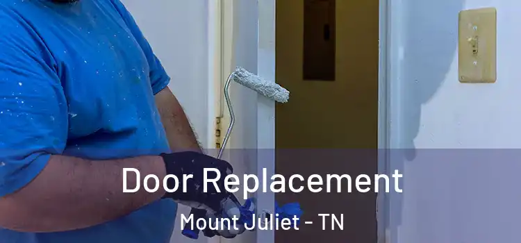 Door Replacement Mount Juliet - TN