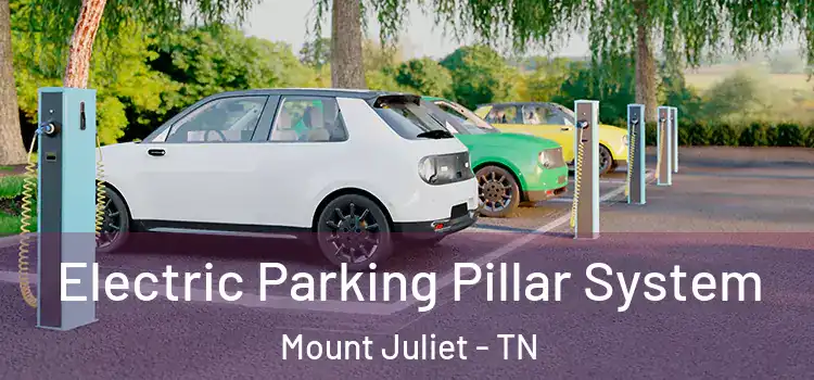 Electric Parking Pillar System Mount Juliet - TN
