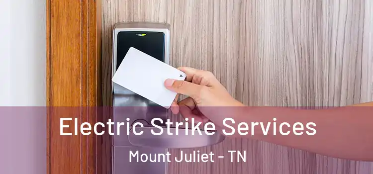 Electric Strike Services Mount Juliet - TN