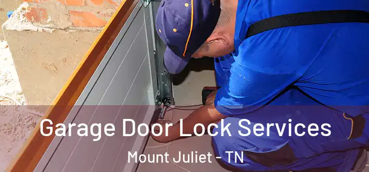 Garage Door Lock Services Mount Juliet - TN