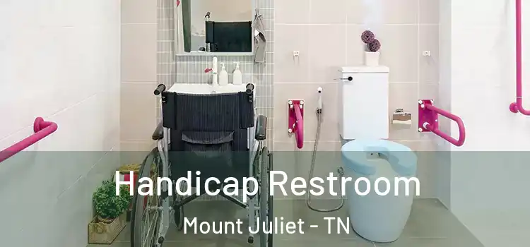 Handicap Restroom Mount Juliet - TN