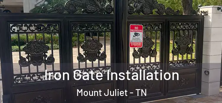 Iron Gate Installation Mount Juliet - TN
