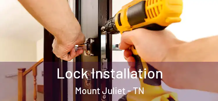 Lock Installation Mount Juliet - TN