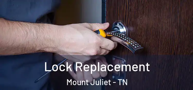 Lock Replacement Mount Juliet - TN