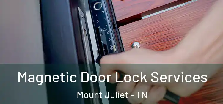 Magnetic Door Lock Services Mount Juliet - TN