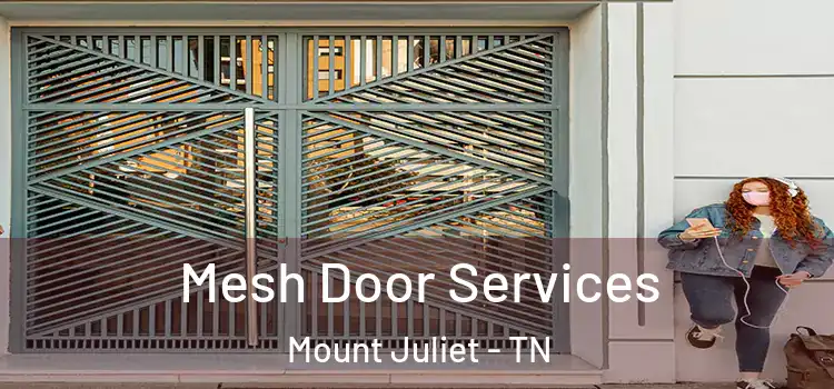 Mesh Door Services Mount Juliet - TN