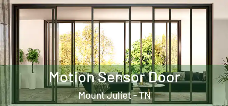 Motion Sensor Door Mount Juliet - TN