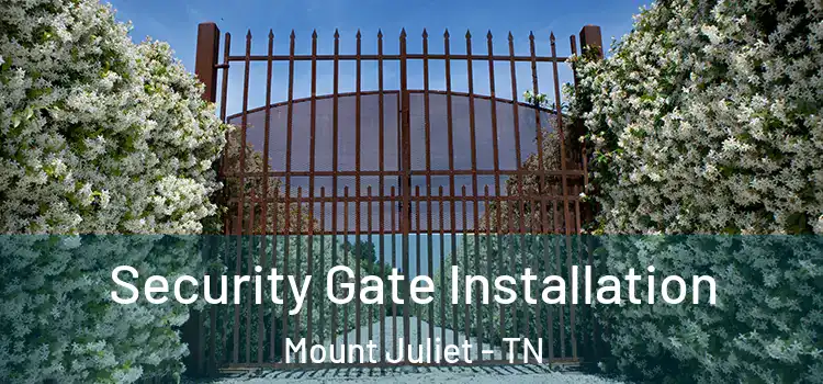 Security Gate Installation Mount Juliet - TN