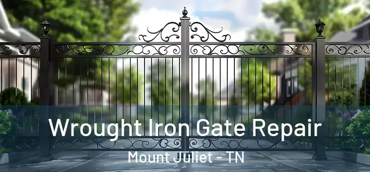 Wrought Iron Gate Repair Mount Juliet - TN